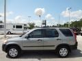 Silver Moss Metallic - CR-V LX Photo No. 2