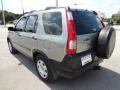 Silver Moss Metallic - CR-V LX Photo No. 3