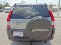 Silver Moss Metallic - CR-V LX Photo No. 8