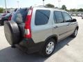Silver Moss Metallic - CR-V LX Photo No. 9
