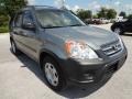 Silver Moss Metallic - CR-V LX Photo No. 11
