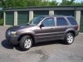 Dark Shadow Grey Metallic - Escape XLT V6 4WD Photo No. 1