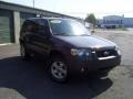 Dark Shadow Grey Metallic - Escape XLT V6 4WD Photo No. 3