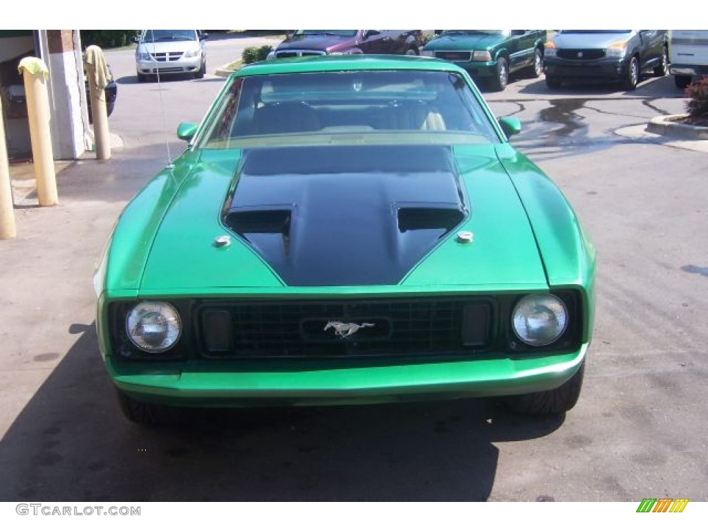 1973 Mustang Hardtop - Custom Green Metallic / Beige photo #2