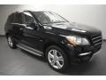 Black - ML 350 4Matic Photo No. 1