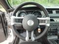 Charcoal Black Steering Wheel Photo for 2013 Ford Mustang #67434171