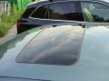 Magnesium Pearl - 300 C HEMI Photo No. 7