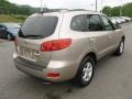 2007 Golden Beige Hyundai Santa Fe GLS 4WD  photo #7