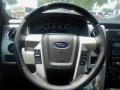 Ingot Silver Metallic - F150 Platinum SuperCrew 4x4 Photo No. 9
