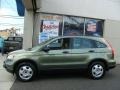 2009 Green Tea Metallic Honda CR-V LX 4WD  photo #3