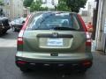 2009 Green Tea Metallic Honda CR-V LX 4WD  photo #5