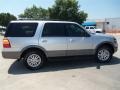 Ingot Silver Metallic - Expedition XLT Sport Photo No. 3