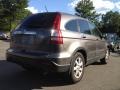 2009 Urban Titanium Metallic Honda CR-V EX-L 4WD  photo #9