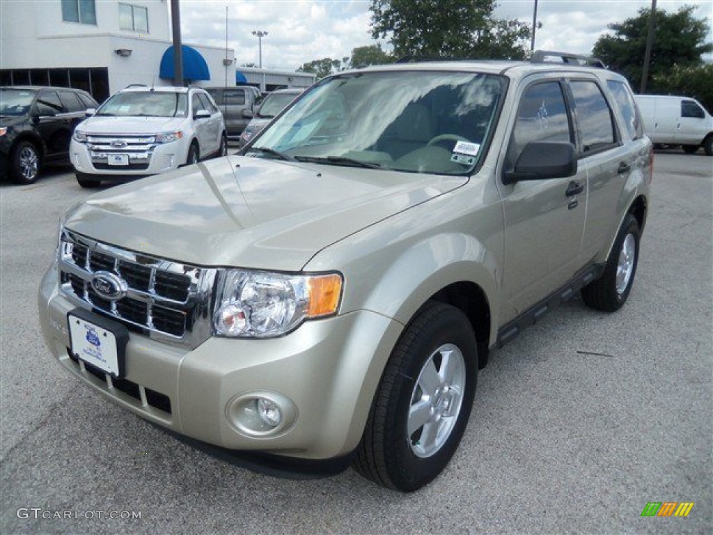 Gold Leaf Metallic Ford Escape