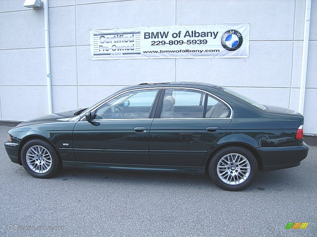 Oxford Green Metallic BMW 5 Series