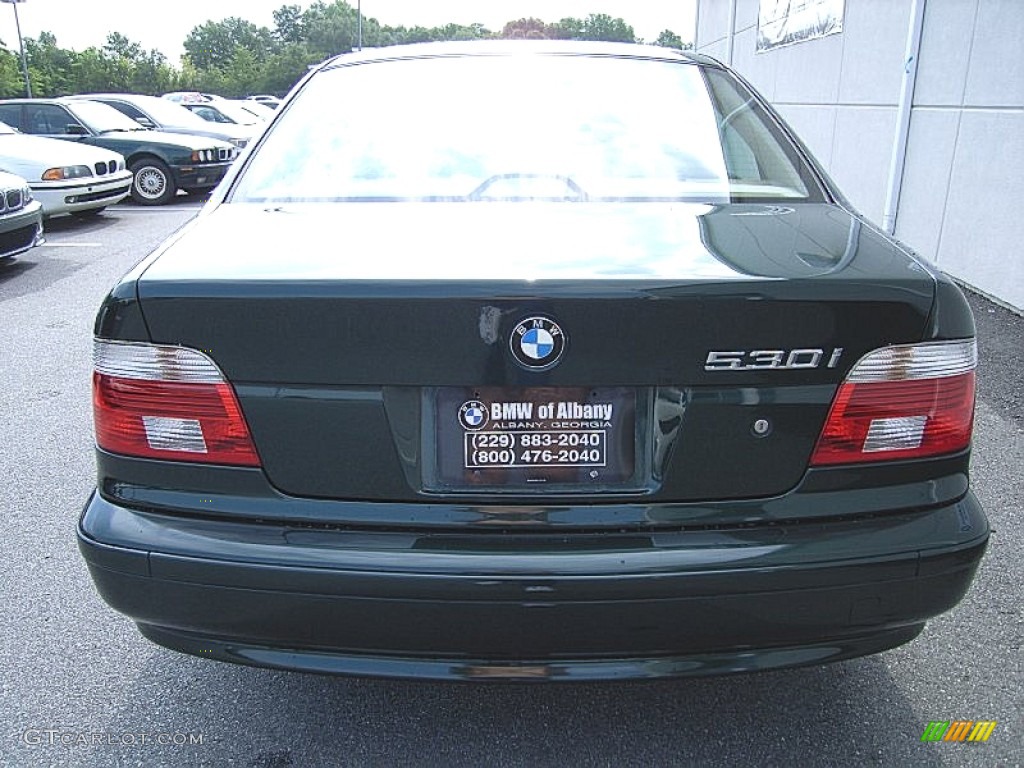 2003 5 Series 530i Sedan - Oxford Green Metallic / Sand Beige photo #7