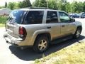 Dark Gray Metallic - TrailBlazer LT 4x4 Photo No. 5