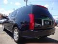 2004 Blue Chip Metallic Cadillac SRX V6  photo #4