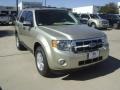 2012 Gold Leaf Metallic Ford Escape XLT V6  photo #2