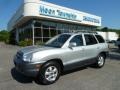 Smart Silver - Santa Fe GLS 4WD Photo No. 1