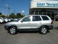 Smart Silver - Santa Fe GLS 4WD Photo No. 2