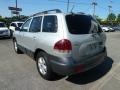 Smart Silver - Santa Fe GLS 4WD Photo No. 3