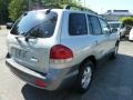 Smart Silver - Santa Fe GLS 4WD Photo No. 5