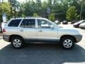 Smart Silver - Santa Fe GLS 4WD Photo No. 6
