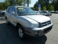 Smart Silver - Santa Fe GLS 4WD Photo No. 7