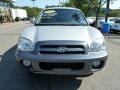 Smart Silver - Santa Fe GLS 4WD Photo No. 8