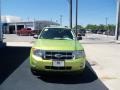 2012 Lime Squeeze Metallic Ford Escape XLT V6  photo #12