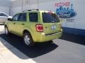 2012 Lime Squeeze Metallic Ford Escape XLT V6  photo #20