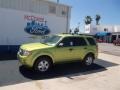 2012 Lime Squeeze Metallic Ford Escape XLT V6  photo #21