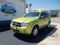 2012 Lime Squeeze Metallic Ford Escape XLT V6  photo #23