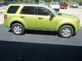 2012 Lime Squeeze Metallic Ford Escape XLT V6  photo #28