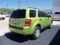 2012 Lime Squeeze Metallic Ford Escape XLT V6  photo #30