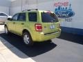 2012 Lime Squeeze Metallic Ford Escape XLT V6  photo #32
