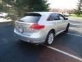 Classic Silver Metallic - Venza LE Photo No. 7