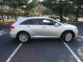 Classic Silver Metallic - Venza LE Photo No. 8