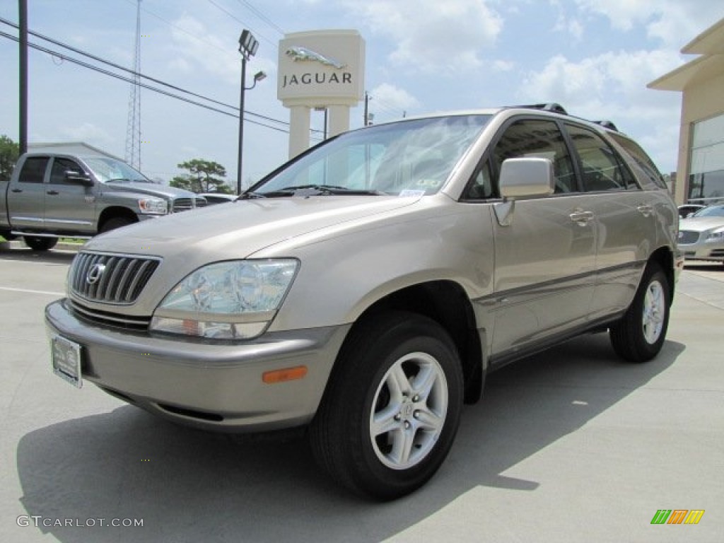 2001 RX 300 - Burnished Gold Metallic / Ivory photo #5