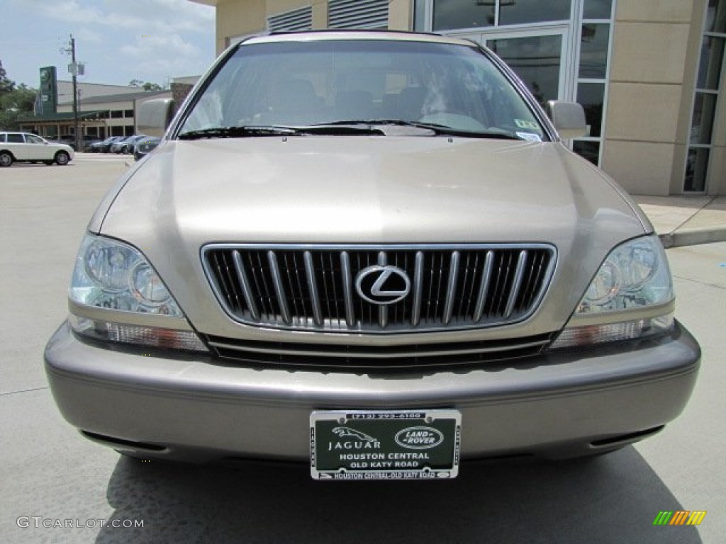 2001 RX 300 - Burnished Gold Metallic / Ivory photo #6