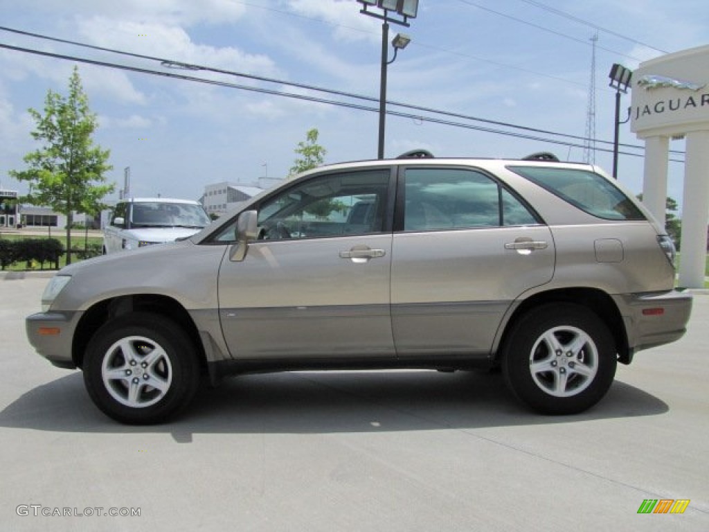 2001 RX 300 - Burnished Gold Metallic / Ivory photo #7