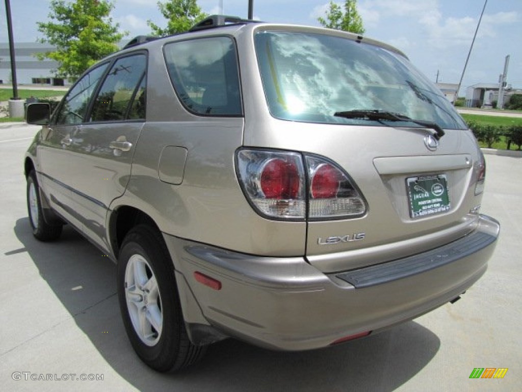 2001 RX 300 - Burnished Gold Metallic / Ivory photo #8