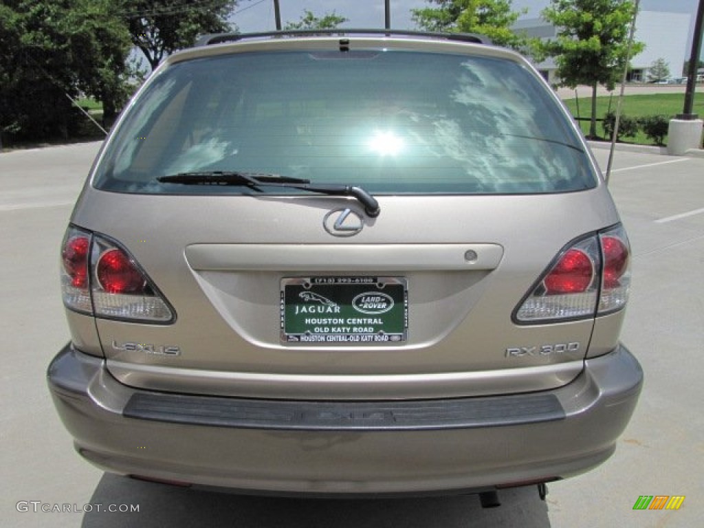 2001 RX 300 - Burnished Gold Metallic / Ivory photo #9