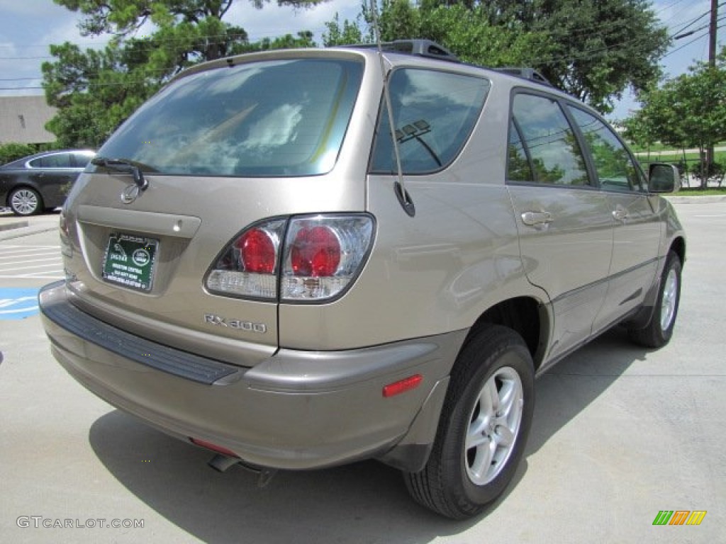 2001 RX 300 - Burnished Gold Metallic / Ivory photo #10