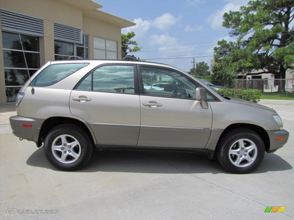 2001 RX 300 - Burnished Gold Metallic / Ivory photo #11