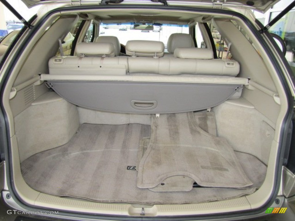2001 RX 300 - Burnished Gold Metallic / Ivory photo #24