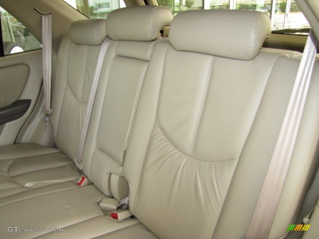 2001 RX 300 - Burnished Gold Metallic / Ivory photo #26