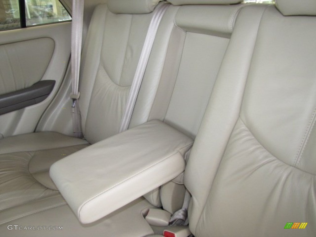 2001 RX 300 - Burnished Gold Metallic / Ivory photo #27