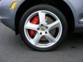 Titanium Metallic - Cayenne Turbo S Photo No. 30